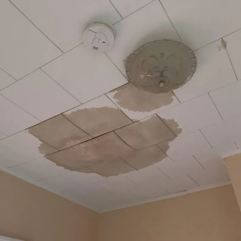 Ceiling Water Damage Repair in Clayton, NC