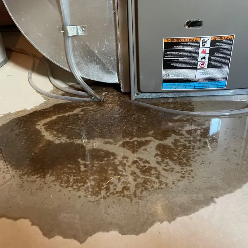 Pipe Burst and Leak Restoration in Clayton, NC